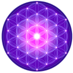 mandala activare