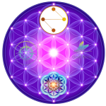 mandala activare INDIV