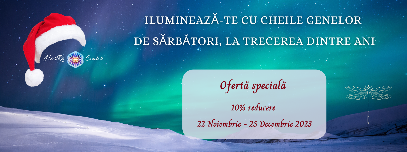 Craciun reduceri programe - site